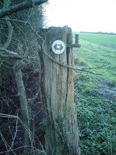 Queen Mary's Lane waymarker