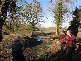 Home Meadows pond: Cleared