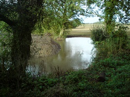 Home Meadows pond: Refilled