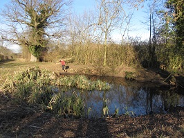 Little Meadow pond: Cleared