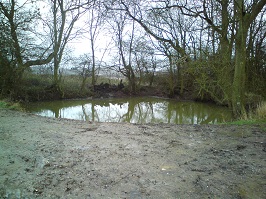 Mayweed pond: Refilled