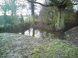 Packway pond: Dredged